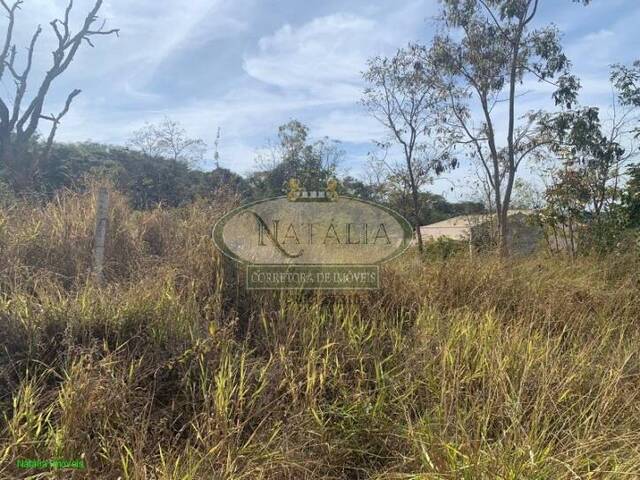 Lote para Venda em Florestal - 4