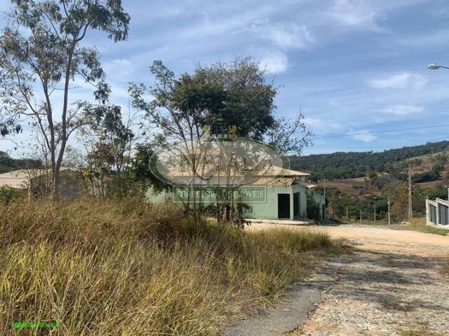 Lote para Venda em Florestal - 5