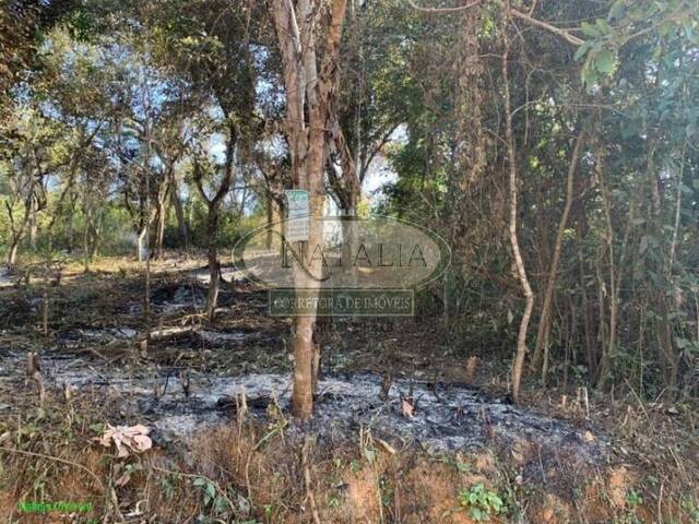 Lote para Venda em Juatuba - 5