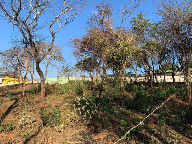Lote para Venda em Juatuba - 4