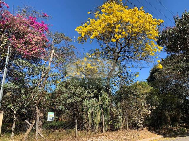 #216 - Área para Venda em Juatuba - MG - 3