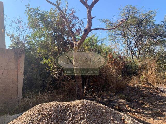 Lote para Venda em Mateus Leme - 4