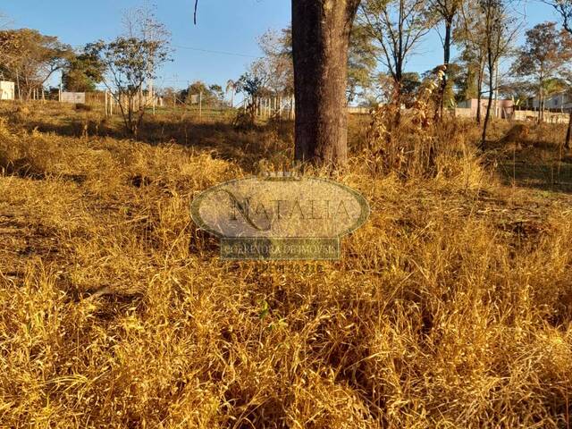 Lote para Venda em Mateus Leme - 4