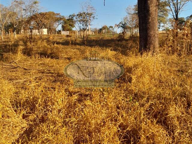 Lote para Venda em Mateus Leme - 5