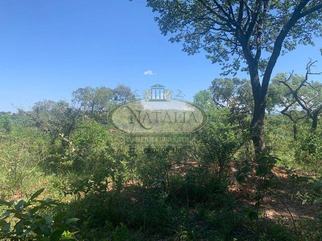 Área para Venda em Juatuba - 5