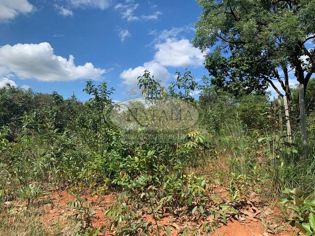 Lote para Venda em Mateus Leme - 5