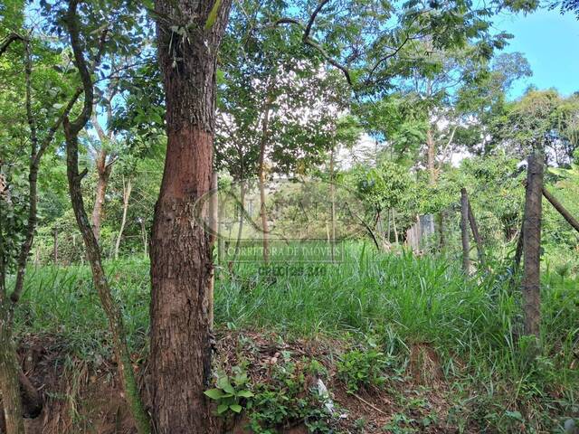 Lote para Venda em Juatuba - 5