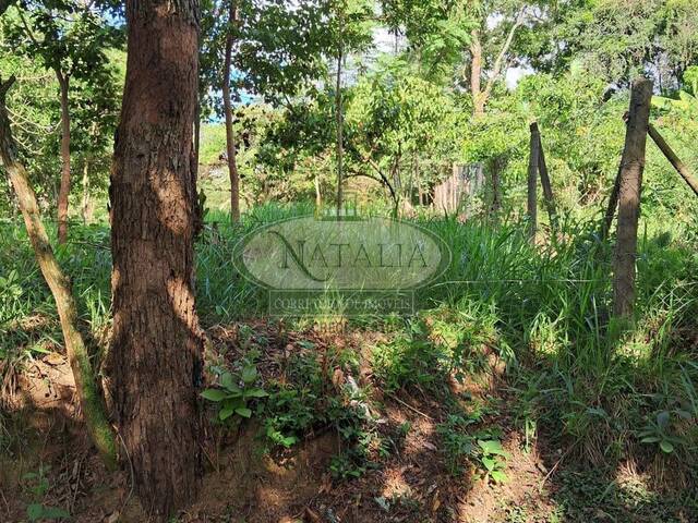 Lote para Venda em Juatuba - 4