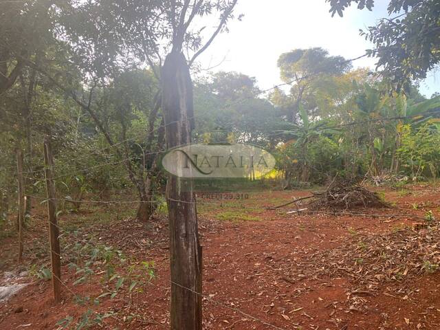 Lote para Venda em Mateus Leme - 5