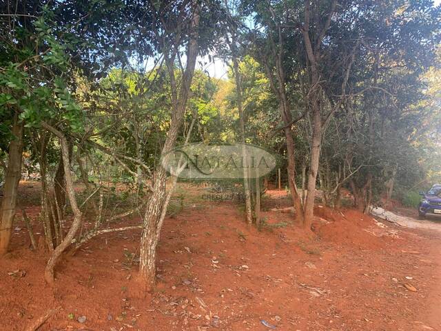 Lote para Venda em Mateus Leme - 4