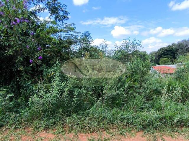 #273 - Lote para Venda em Mateus Leme - MG - 2