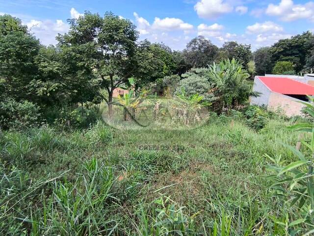 #273 - Lote para Venda em Mateus Leme - MG - 1