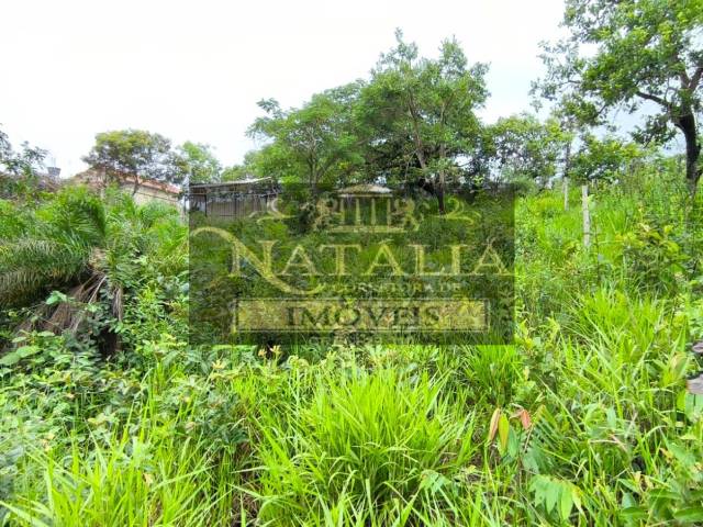 Lote para Venda em Mateus Leme - 4