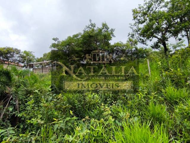 Lote para Venda em Mateus Leme - 5