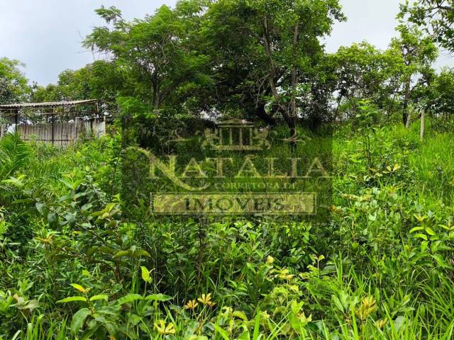 #359 - Lote para Venda em Mateus Leme - MG - 3