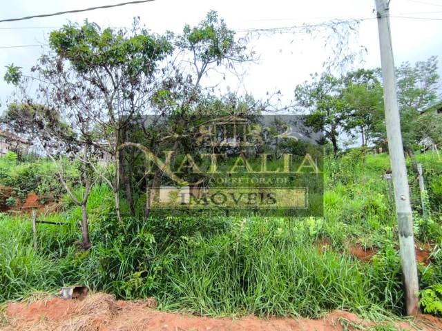 #359 - Lote para Venda em Mateus Leme - MG - 2