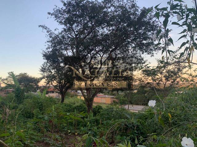 Lote para Venda em Juatuba - 4