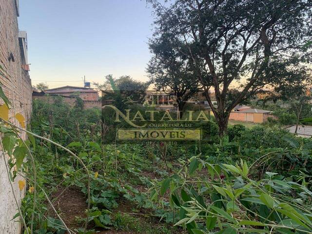 #417 - Área para Venda em Juatuba - MG - 3