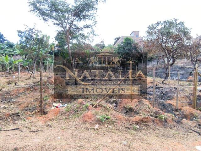 #423 - Lote para Venda em Juatuba - MG