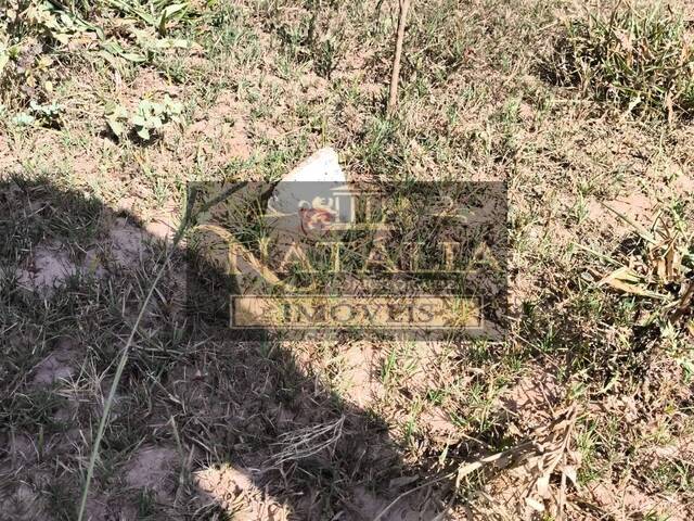 #425 - Lote para Venda em Juatuba - MG