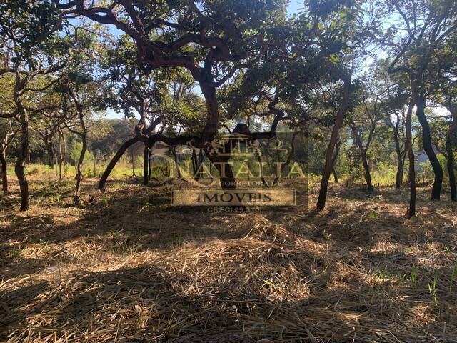 Lote para Venda em Juatuba - 3