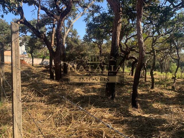 Lote para Venda em Juatuba - 4