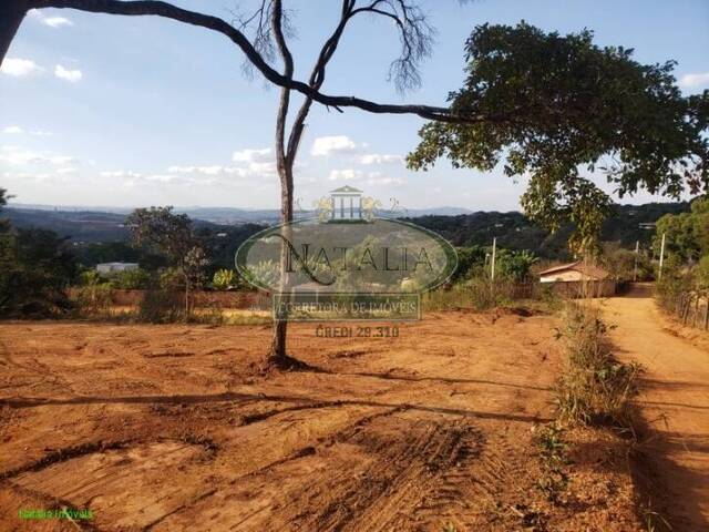 Venda em Icaraí - Juatuba