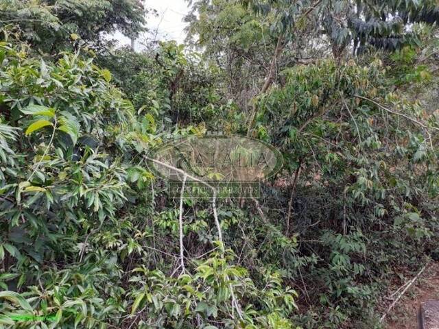 Sítio para Venda em Juatuba - 5